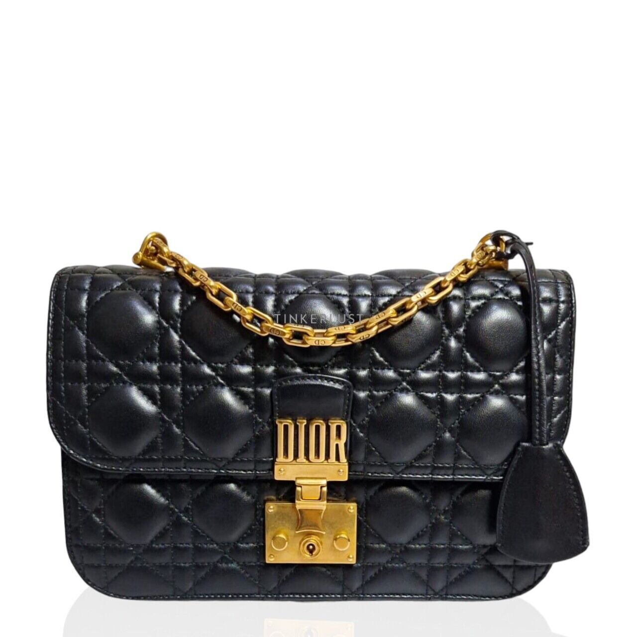 Dior addict monogram bag store